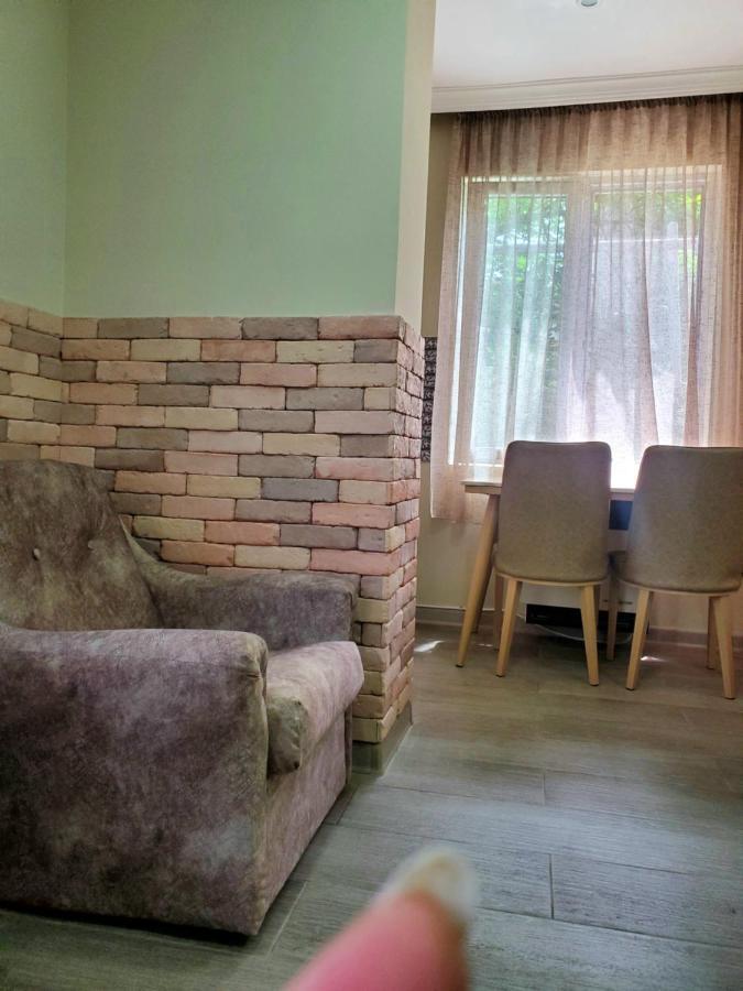 Guest House Agmashenebeli 229 科布列季 外观 照片