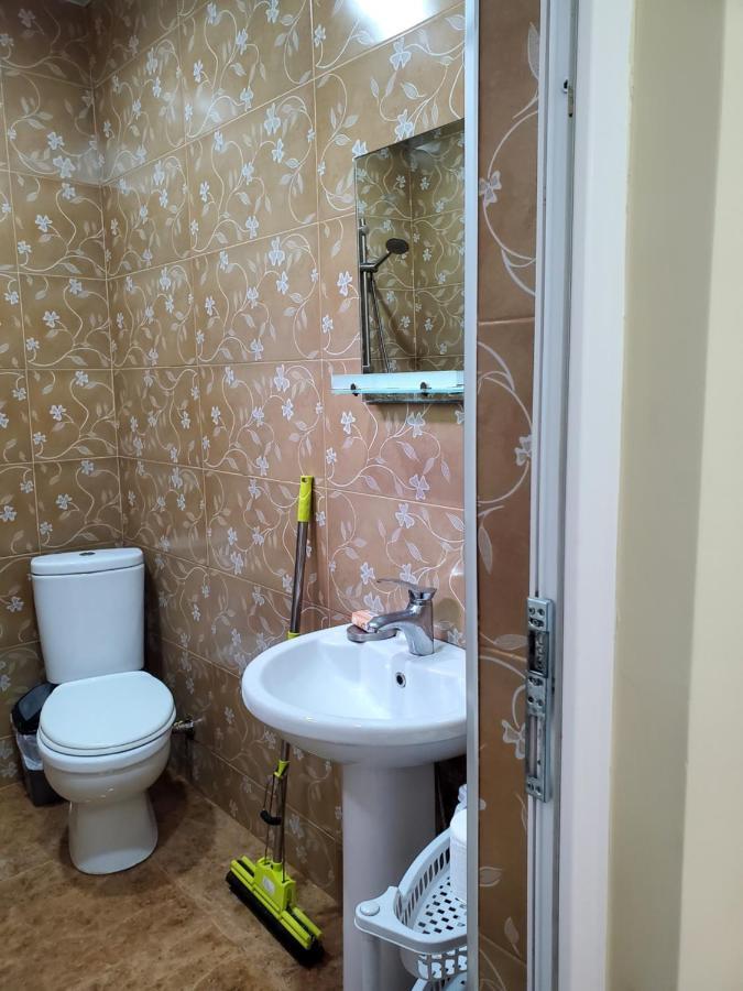Guest House Agmashenebeli 229 科布列季 外观 照片